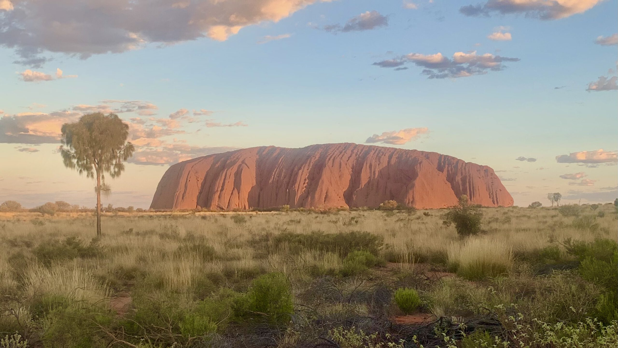 „Wenn jemand eine Reise tut“: Australien, Neuseeland – und große Erwartungen